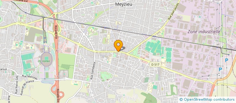 localisation de l'entreprise MADAME SOLANGE MANGOUO SABOU  MEYZIEU