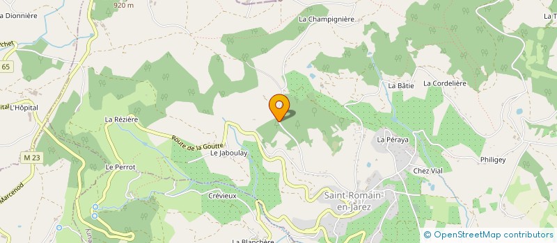 localisation de l'entreprise MADAME SOLANGE NODIN  SAINT-ROMAIN-EN-JAREZ