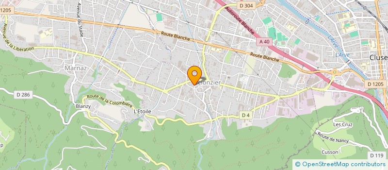 localisation de l'entreprise MADAME SOLANGE PERY  SCIONZIER