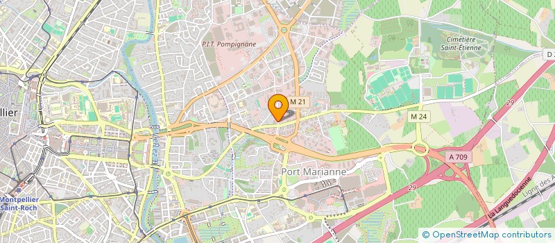 localisation de l'entreprise MADAME SOLANGE PILLOUD-LIMON à MONTPELLIER