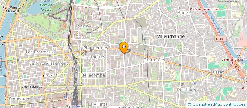 localisation de l'entreprise MADAME SOLAYA GONIDEC  VILLEURBANNE