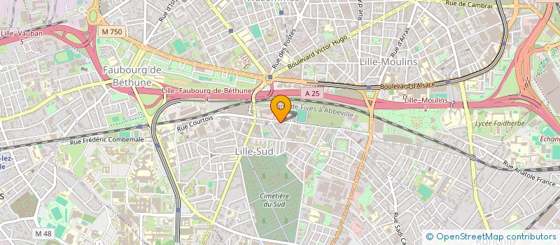 localisation de l'entreprise MADAME SOLEN DORANT à LILLE