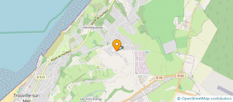 localisation de l'entreprise MADAME SOLEN VETS à TROUVILLE-SUR-MER