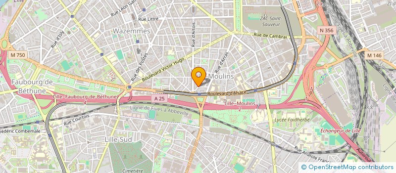 localisation de l'entreprise MADAME SOLENA KERRAR à LILLE