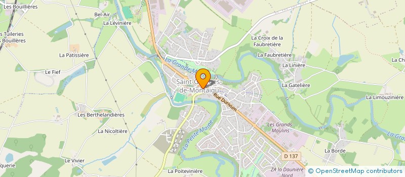 localisation de l'entreprise MADAME SOLENE ALBERTI à MONTAIGU-VENDEE