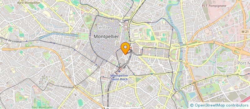localisation de l'entreprise MADAME SOLENE DUCHAMP à MONTPELLIER