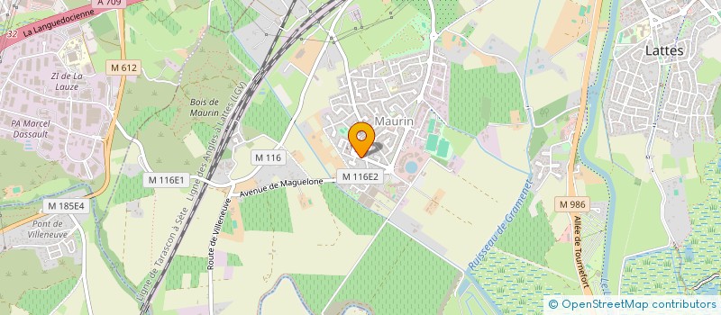 localisation de l'entreprise MADAME SOLENE GODET à LATTES