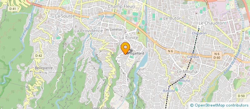 localisation de l'entreprise MADAME SOLENE GUEROULT à SAINT-DENIS