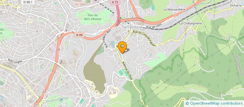 localisation de l'entreprise MADAME SOLENE JOAO  SAINT-ETIENNE