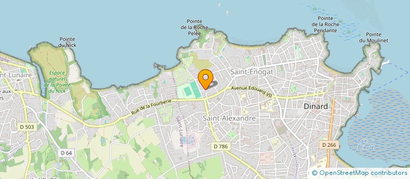 localisation de l'entreprise MADAME SOLENE LEMOINE  DINARD