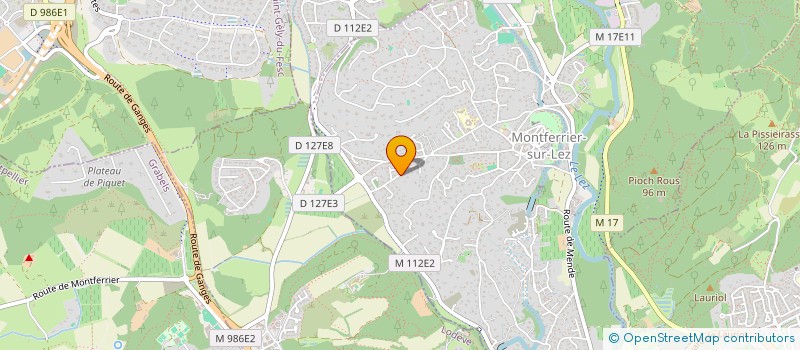 localisation de l'entreprise MADAME SOLENE LUDMANN  MONTFERRIER-SUR-LEZ