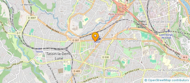 localisation de l'entreprise MADAME SOLENE MARTIN  TASSIN-LA-DEMI-LUNE