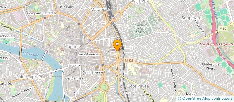 localisation de l'entreprise MADAME SOLENE MERIEUX  TOULOUSE