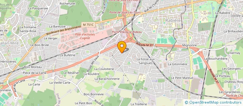 localisation de l'entreprise MADAME SOLENE MONTEIL  JOUE-LES-TOURS