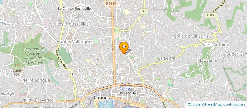 localisation de l'entreprise MADAME SOLENE NASICA  CANNES