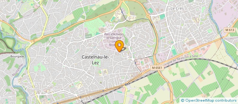 localisation de l'entreprise MADAME SOLENE PALMICH à CASTELNAU-LE-LEZ