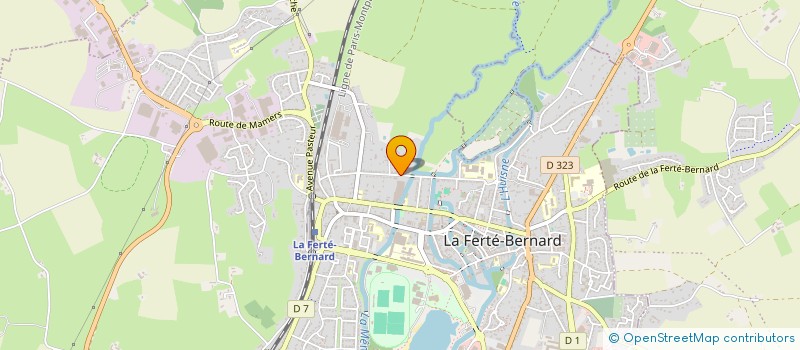 localisation de l'entreprise MADAME SOLENE PATIN  LA FERTE-BERNARD