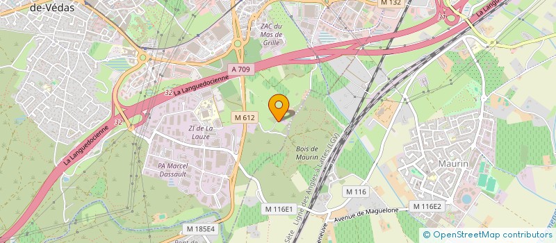 localisation de l'entreprise MADAME SOLENE ROQUE  MONTPELLIER