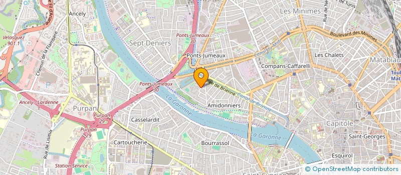 localisation de l'entreprise MADAME SOLENN CARCELES  TOULOUSE