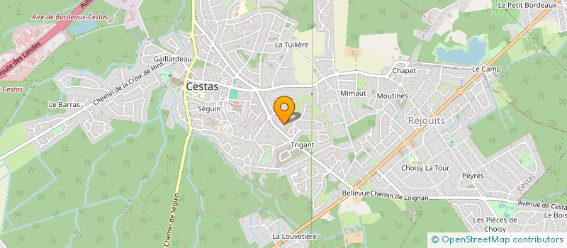 localisation de l'entreprise MADAME SOLENNE BALDINI  CESTAS