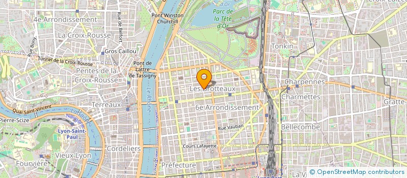 localisation de l'entreprise MADAME SOLENNE BLONDEAU  LYON