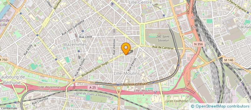 localisation de l'entreprise MADAME SOLINE DANGRE à LILLE