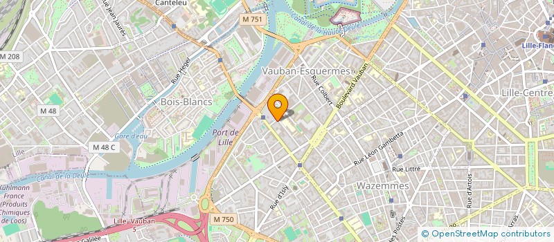 localisation de l'entreprise MADAME SOLVEIG WALENNE  LILLE