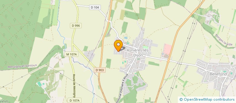 localisation de l'entreprise MADAME SONIA CLARO VELOSO  ASNIERES-LES-DIJON