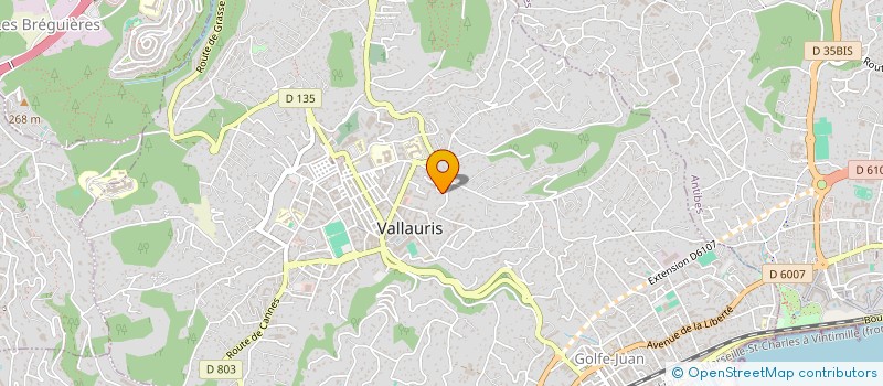 localisation de l'entreprise MADAME SONIA JOUEN à VALLAURIS