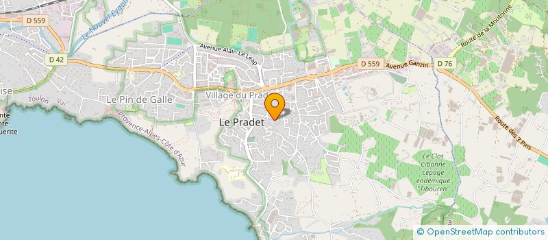 localisation de l'entreprise MADAME SONIA MARTINEZ  LE PRADET