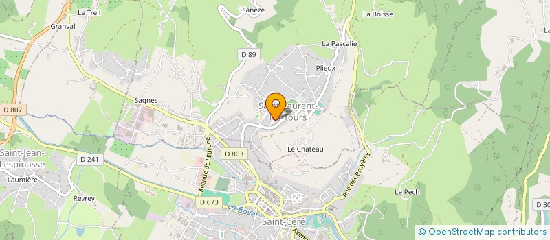 localisation de l'entreprise MADAME SONIA ROUDIER  SAINT-LAURENT-LES-TOURS