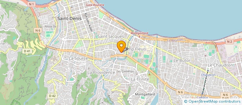 localisation de l'entreprise MADAME SOPHIA IDJIHADI  SAINT-DENIS