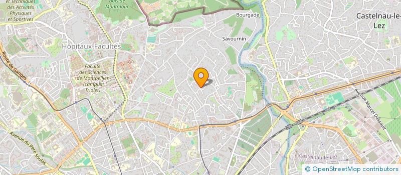 localisation de l'entreprise MADAME SOPHIA TEBESSI à MONTPELLIER