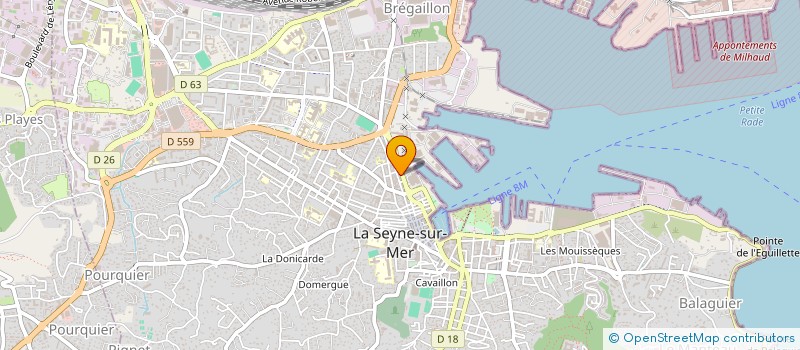 localisation de l'entreprise MADAME SOPHIA ZNIQA  LA SEYNE-SUR-MER