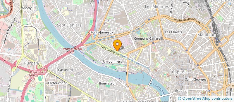 localisation de l'entreprise MADAME SOPHIE ARCHINARD à TOULOUSE