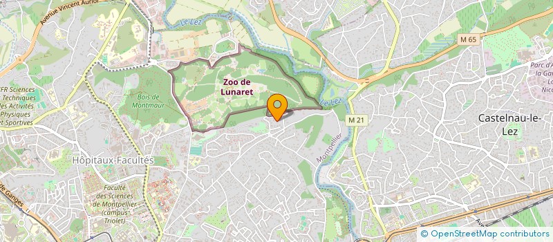 localisation de l'entreprise MADAME SOPHIE ARGUEL à MONTPELLIER