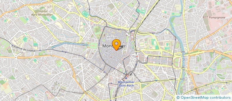 localisation de l'entreprise MADAME SOPHIE ATLAN à MONTPELLIER