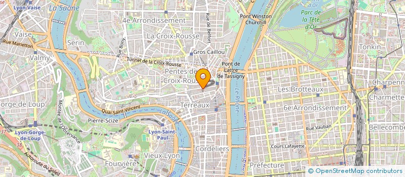 localisation de l'entreprise MADAME SOPHIE AYRAUD à LYON