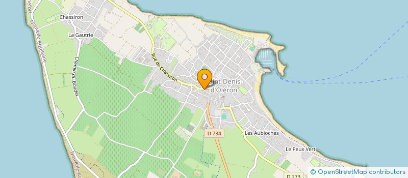 localisation de l'entreprise MADAME SOPHIE BENDER  SAINT-DENIS-D'OLERON