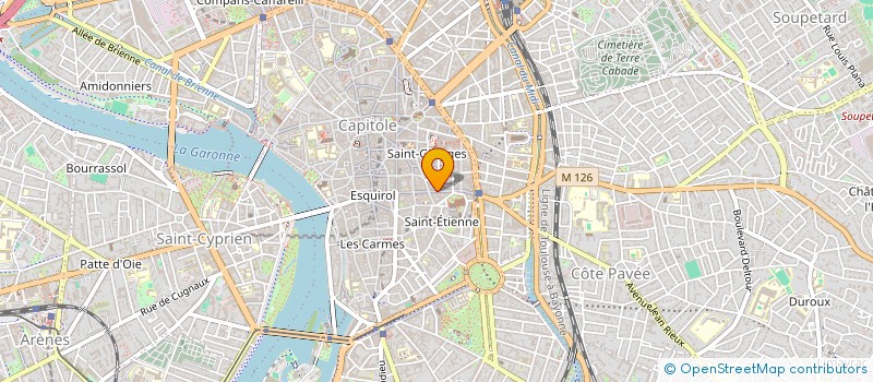 localisation de l'entreprise MADAME SOPHIE CAMMAN  TOULOUSE