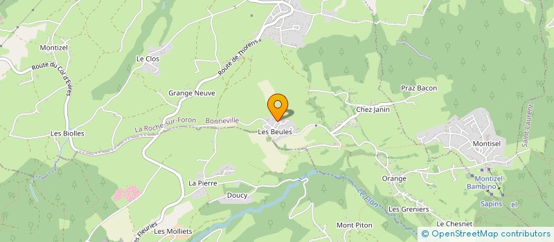 localisation de l'entreprise MADAME SOPHIE CARNEIRO  LA ROCHE-SUR-FORON