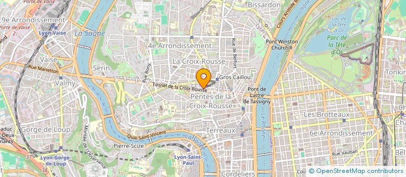 localisation de l'entreprise MADAME SOPHIE CHAMBOST à LYON