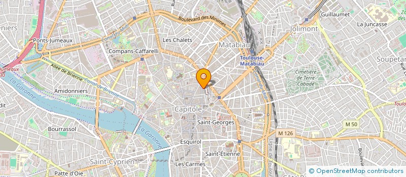 localisation de l'entreprise MADAME SOPHIE-CHARLOTTE DEWAS à TOULOUSE