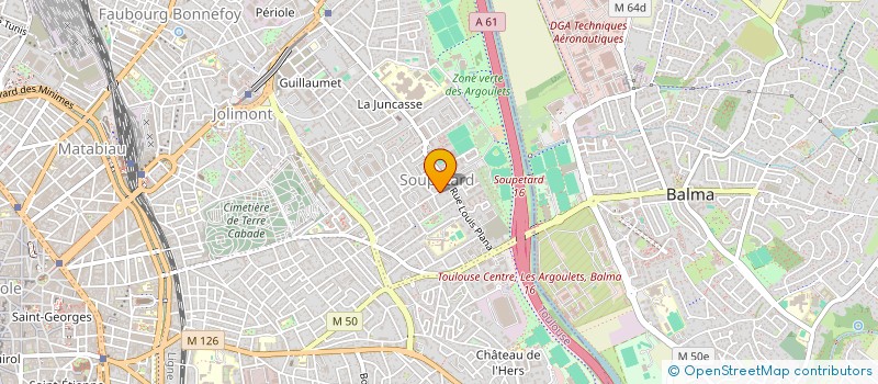 localisation de l'entreprise MADAME SOPHIE CORNU à TOULOUSE