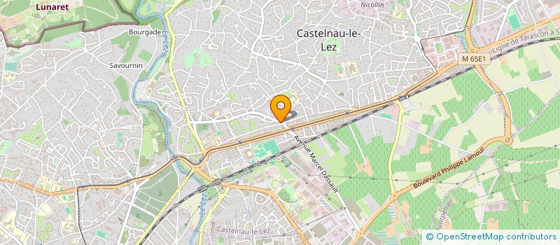 localisation de l'entreprise MADAME SOPHIE COURTIER à CASTELNAU-LE-LEZ