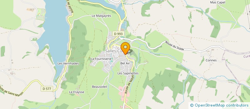 localisation de l'entreprise MADAME SOPHIE CUNIENQ  SALLES-CURAN