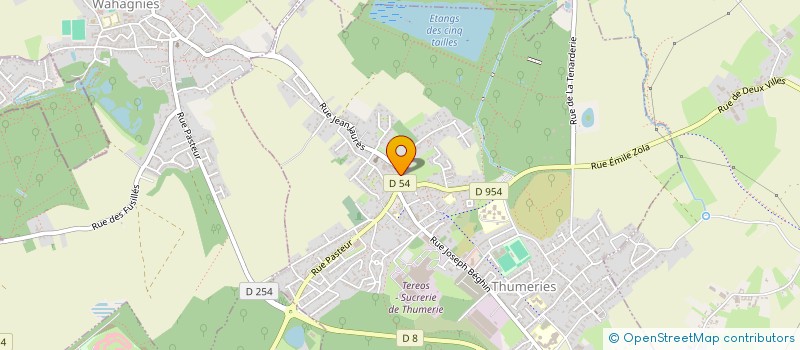 localisation de l'entreprise MADAME SOPHIE DELIGNIERES  MONS-EN-PEVELE