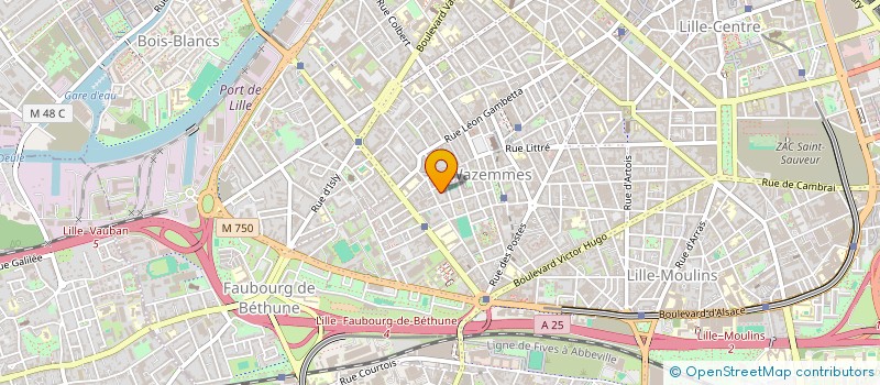 localisation de l'entreprise MADAME SOPHIE DESTAILLEUR à LILLE
