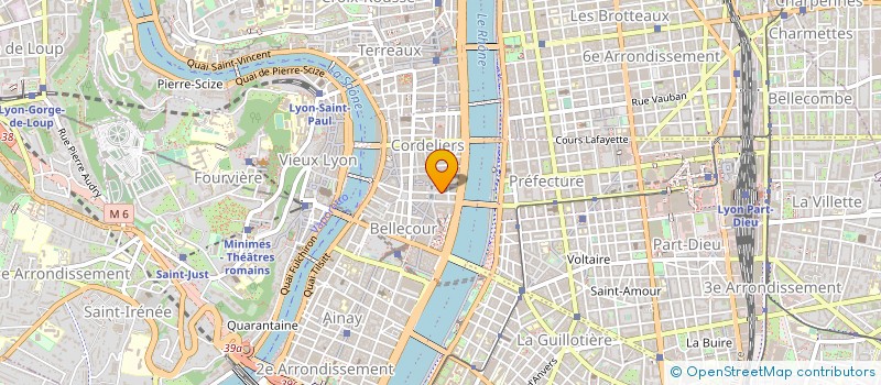 localisation de l'entreprise MADAME SOPHIE DORMOIS à LYON