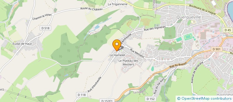 localisation de l'entreprise MADAME SOPHIE ENAULT  CHERBOURG-EN-COTENTIN